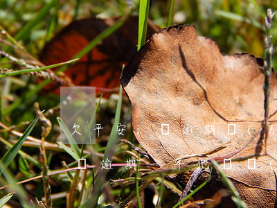 欠平安i貸逾期會(huì)上門嗎(平安i貸逾期一年他們會(huì)真的去起訴嗎)
