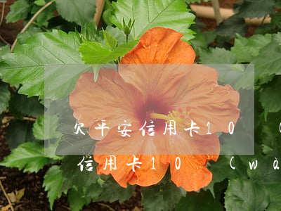 欠平安信用卡10萬(wàn)逾期(欠平安信用卡10萬(wàn)已經(jīng)一年多了)