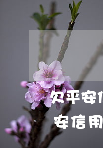 欠平安信用卡1萬5無力償還怎么辦-欠平安信用卡一萬多會怎么樣