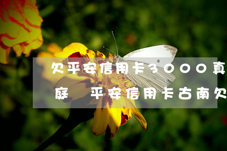 欠平安信用卡3000真的會(huì)開庭嗎（平安信用卡古南欠了多少錢）
