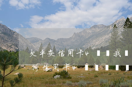 欠平安信用卡4萬說我惡意透支-欠平安銀行信用卡4萬沒錢還會(huì)坐牢嗎?