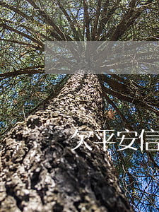 欠平安信用卡6000元会怎样-