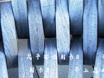 欠平安信用卡8萬還不上怎么辦-欠平安信用卡8萬還不上怎么辦呢