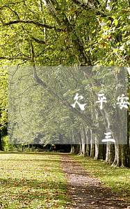 欠平安信用卡一萬會上門不 欠平安信用卡一萬三個多月會坐牢嗎?