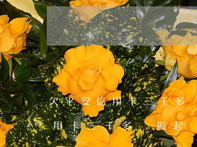 欠平安信用卡三千多會被起訴嗎-欠平安信用卡三千多會被起訴嗎知乎