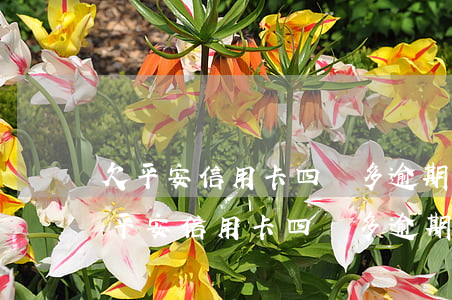 欠平安信用卡四萬多逾期五個(gè)月(欠平安信用卡四萬多逾期五個(gè)月)
