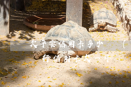 欠平安信用卡多少錢會(huì)坐牢（平安銀行信用卡欠一千）