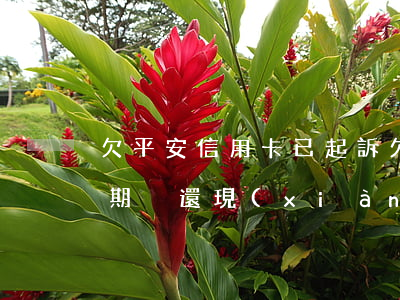 欠平安信用卡已起訴(欠平安信用卡一萬多逾期沒還現(xiàn)在說要起訴我了沒事嗎)