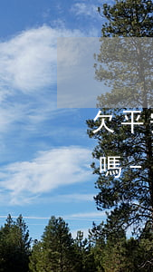 欠平安信用卡會(huì)影響我辦銀行卡嗎-欠平安信用卡會(huì)影響我辦銀行卡嗎知乎