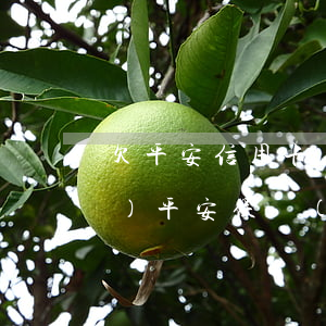 欠平安信用卡錢(qián)能買(mǎi)平安保險(xiǎn)嗎(欠平安信用卡的錢(qián)對(duì)平安保險(xiǎn)有影響嗎)