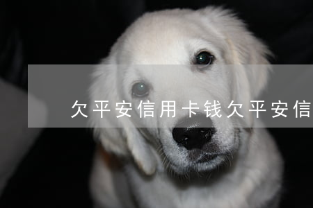 欠平安信用卡钱(欠平安信用卡钱)