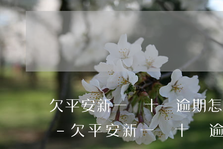 欠平安新一貸十萬逾期怎么協(xié)商-欠平安新一貸十萬逾期怎么協(xié)商還款