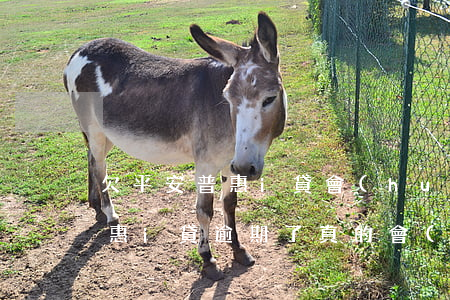 欠平安普惠i貸會(huì)上門嗎(平安普惠i貸逾期了真的會(huì)起訴么)