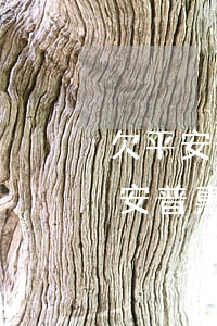 欠平安普惠網(wǎng)貸不還行么(欠平安普惠貸款還不上)