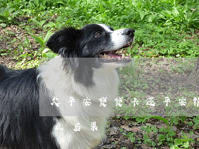 欠平安贷贷卡还(平安银行贷贷卡还不上是什么后果)