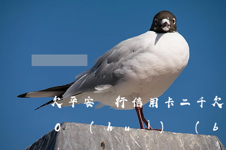 欠平安銀行信用卡二千(欠平安信用卡2000會(huì)報(bào)警嗎)