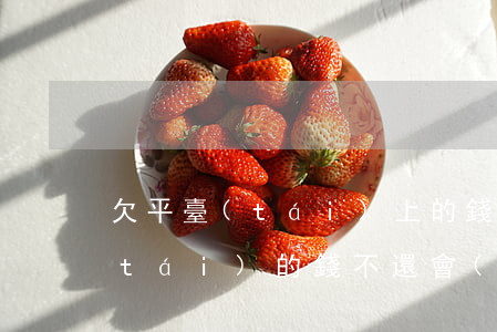 欠平臺(tái)上的錢無力償還(欠平臺(tái)的錢不還會(huì)怎么樣)
