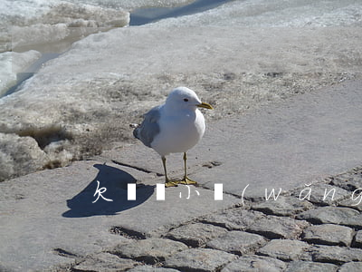 欠幾個小網(wǎng)貸總共8萬不還