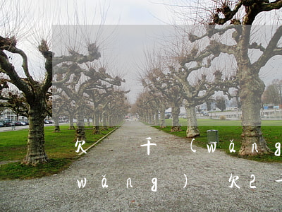 欠幾兩千網(wǎng)貸不還可以嗎(網(wǎng)貸欠2千不還會(huì)怎樣)
