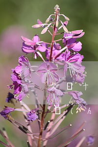 欠幾十個(gè)網(wǎng)貸還不上會(huì)怎樣(網(wǎng)貸太多還不上怎么辦欠了好幾十個(gè))