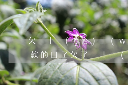 欠幾十個(gè)網(wǎng)貸還能貸款的口子(欠了幾十個(gè)網(wǎng)貸)