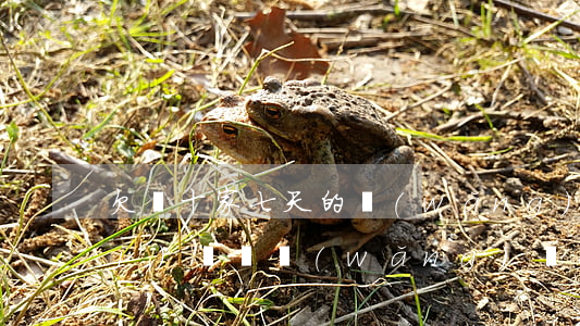 欠幾十家七天的網(wǎng)貸沒(méi)錢還(網(wǎng)貸欠了七萬(wàn))