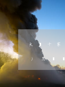 欠幾十家網(wǎng)貸幾十萬(wàn)怎樣還(網(wǎng)貸欠款幾十萬(wàn)怎么辦)
