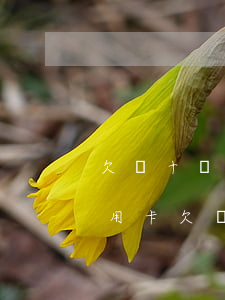 欠幾十萬(wàn)網(wǎng)貸和信用卡(欠幾十萬(wàn)網(wǎng)貸和信用卡人死了要還嗎)