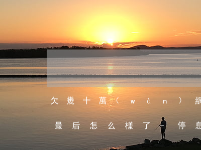 欠幾十萬(wàn)網(wǎng)貸的人最后怎么樣了-停息掛賬自己怎么去申請(qǐng)