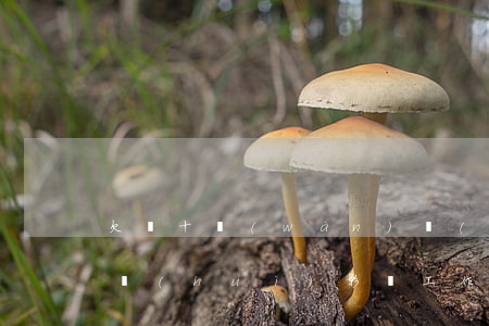 欠幾十萬(wàn)網(wǎng)貸老賴會(huì)影響工作嗎-欠幾十萬(wàn)網(wǎng)貸老賴會(huì)影響工作嗎知乎