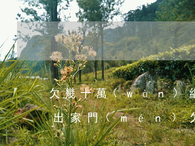 欠幾十萬(wàn)網(wǎng)貸被趕出家門(mén)(欠了20萬(wàn)網(wǎng)貸我要走了)