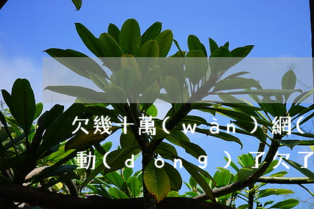 欠幾十萬(wàn)網(wǎng)貸還不動(dòng)了(欠了網(wǎng)貸十幾萬(wàn)還不起了怎么辦?)