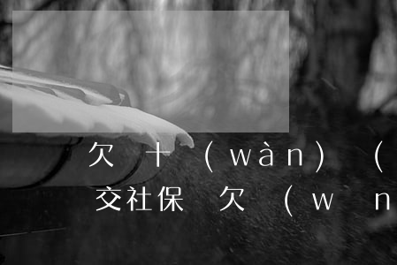欠幾十萬(wàn)網(wǎng)貸還能交社保嗎(欠網(wǎng)貸可以辦社保嗎)