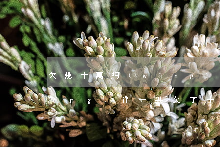 欠幾十萬網(wǎng)貸一分沒還(網(wǎng)貸一共欠了十多萬沒錢還怎么辦)