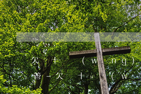 欠幾十萬網(wǎng)貸無力償還家人不管-欠幾十萬網(wǎng)貸無力償還家人不管怎么辦