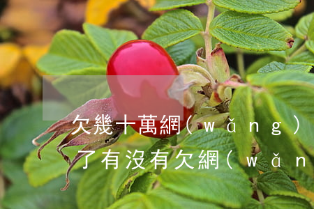 欠幾十萬網(wǎng)貸的人最后怎么樣了(有沒有欠網(wǎng)貸幾十萬的)