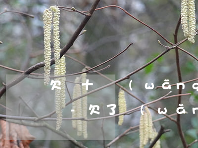 欠幾十萬網(wǎng)貸護士被單位辭退嗎-欠了網(wǎng)貸公司可以辭退我嗎