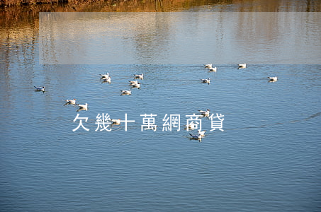 欠幾十萬網商貸