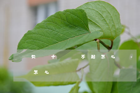 欠幾十萬還不起怎么辦-欠了幾十萬還不起怎么辦