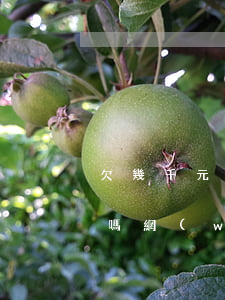 欠幾千元網(wǎng)貸公司會上門催收嗎(網(wǎng)貸逾期幾千塊錢會上門催收嗎)