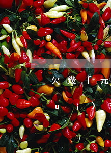 欠幾千元網(wǎng)貸逾期多久會(huì)立案(網(wǎng)貸欠幾千塊逾期會(huì)怎么樣)