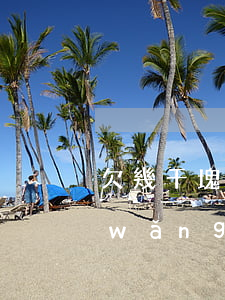 欠幾千塊網(wǎng)貸叫我去法院(網(wǎng)貸欠了幾百塊錢法院會(huì)起訴嗎)