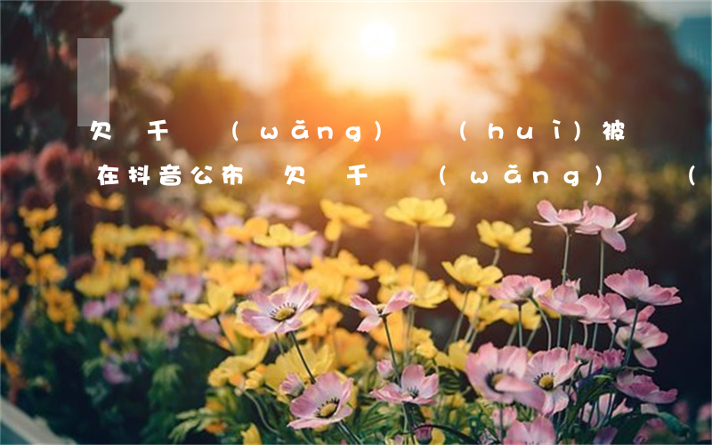 欠幾千塊網(wǎng)貸會(huì)被在抖音公布嗎(欠幾千塊網(wǎng)貸會(huì)被在抖音公布嗎)