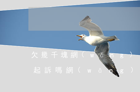 欠幾千塊網(wǎng)貸會(huì)被起訴嗎(網(wǎng)貸欠幾千元會(huì)被起訴嗎)