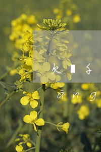 欠幾千塊網(wǎng)貸會起訴嗎(網(wǎng)貸欠了兩千多會起訴嗎)