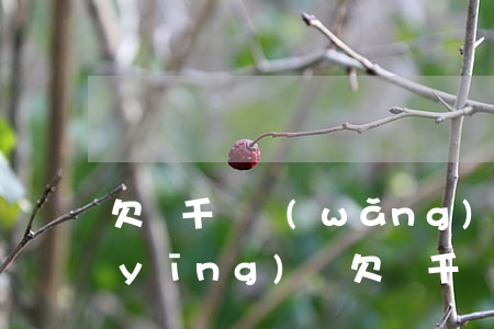 欠幾千塊網(wǎng)貸被起訴怎么應(yīng)訴(欠幾千塊網(wǎng)貸會(huì)被起訴嗎)