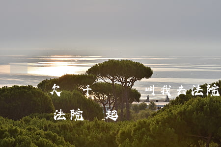 欠幾千塊網貸叫我去法院(網貸欠了幾百塊錢法院會起訴嗎)