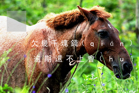 欠幾千塊錢(qián)網(wǎng)貸逾期還不上會(huì)被起訴嗎-網(wǎng)貸挺過(guò)3年就沒(méi)事了