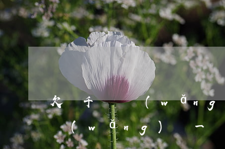 欠幾千塊錢網(wǎng)貸該怎么辦(欠了網(wǎng)貸一萬多塊錢怎么辦)