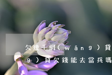 欠幾千網(wǎng)貸去當兵(網(wǎng)貸欠錢能去當兵嗎)